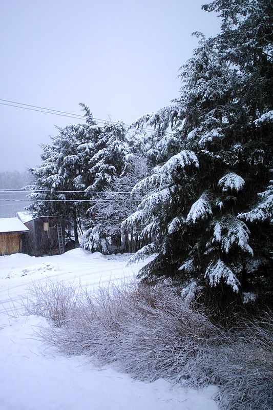 Winter Returns