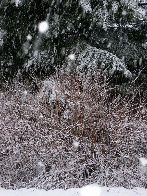 White Easter