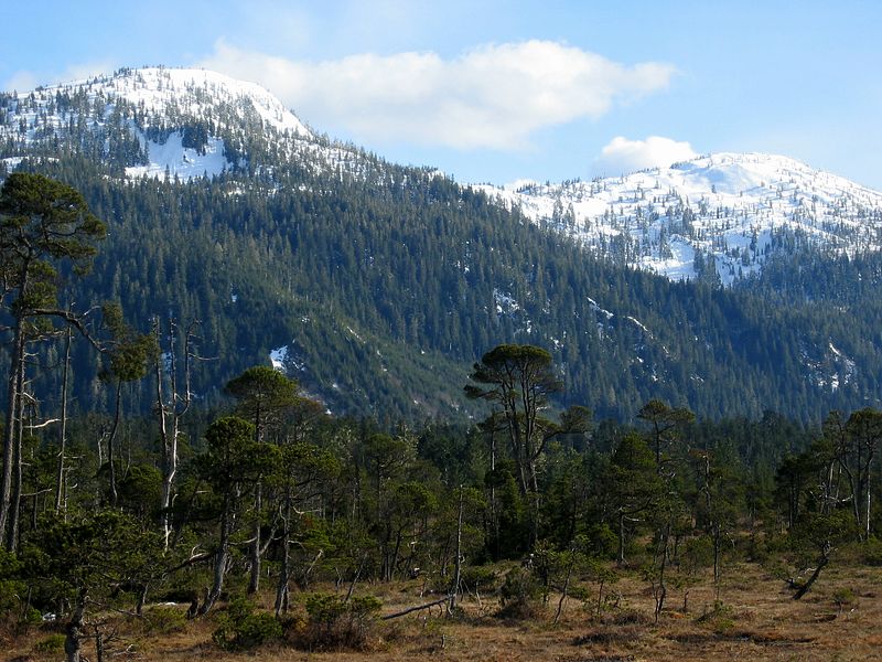 Spring Mountains