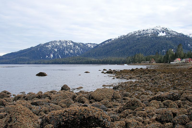 View towards Sandy Beach Park