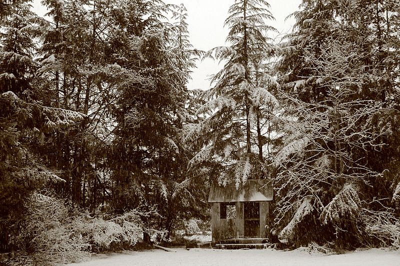 Spring Snow (B)