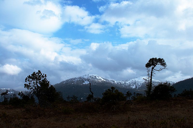 Clouds over Muskeg