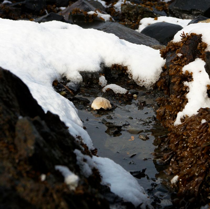 Snow on Beach