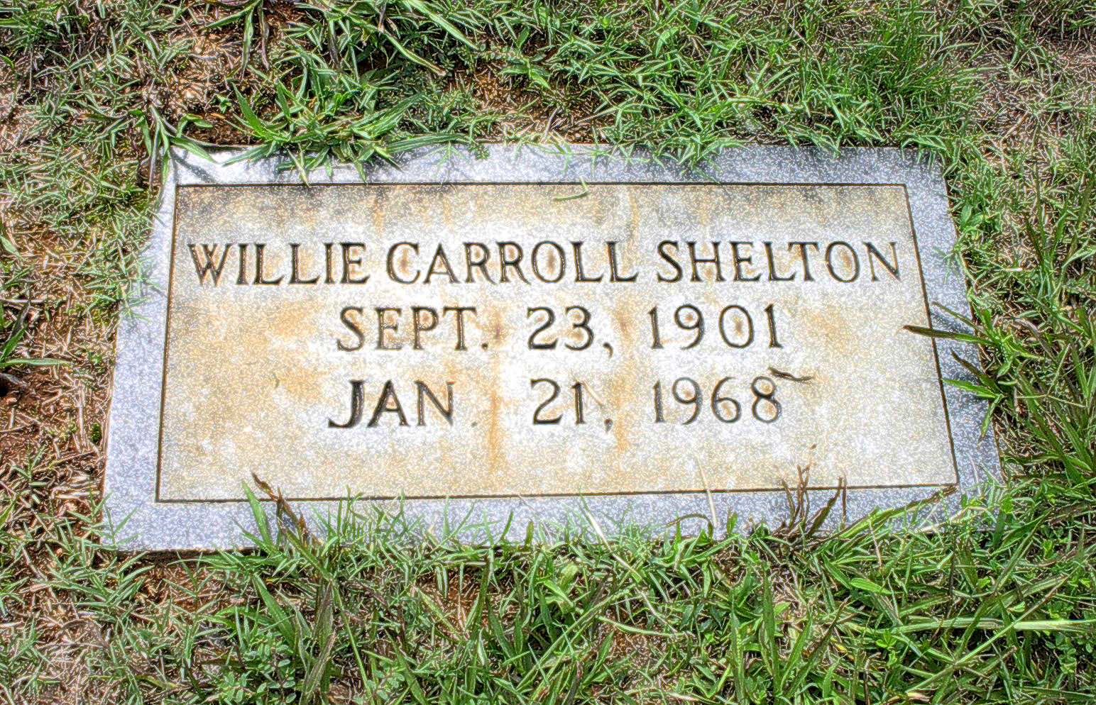 Willie Carroll Shelton (1901-1968)