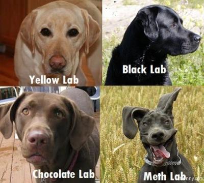 o6/85/360685/1/142496353.FWDfD0yb.MethLab.jpg