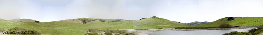 Nicasio Reservoir in Spring