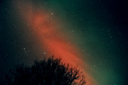 aurora_11ss.jpg