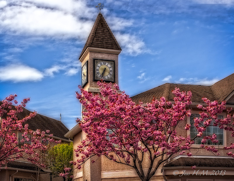 Cherry Blossom Spring