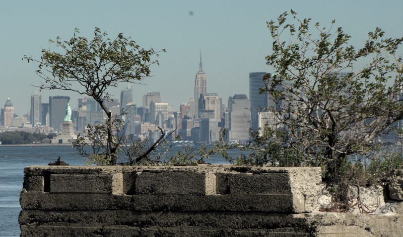 Skyline From SI 4 - Landmarks