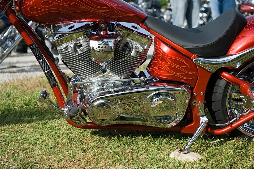 Big Dog Custom