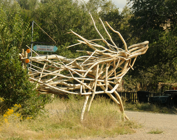 b094.jpg