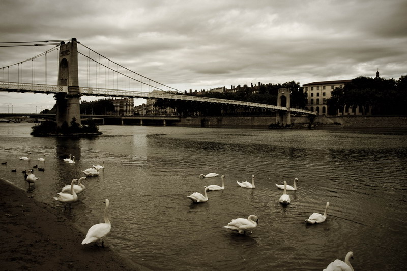 Passerelle du Collge