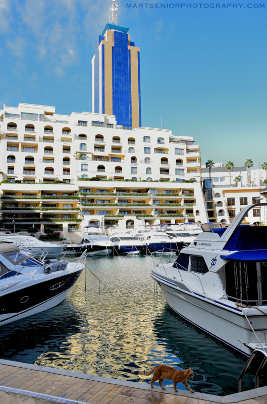 stroll along the harbourside