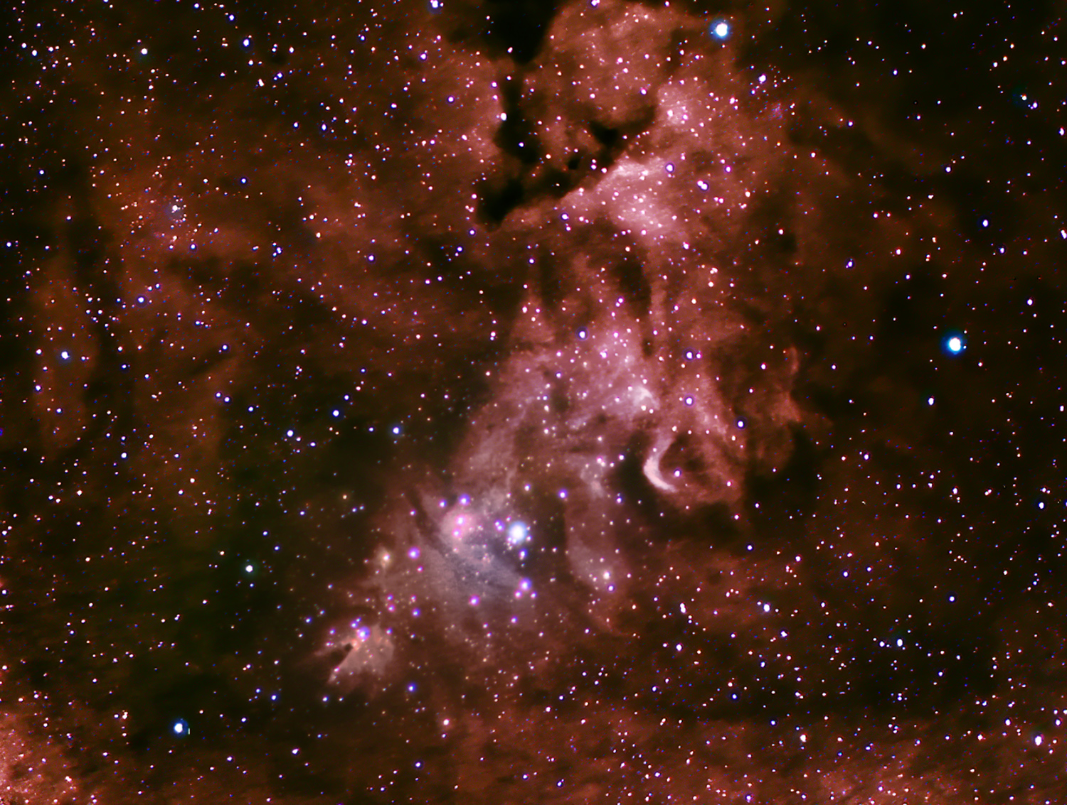 NGC 2264