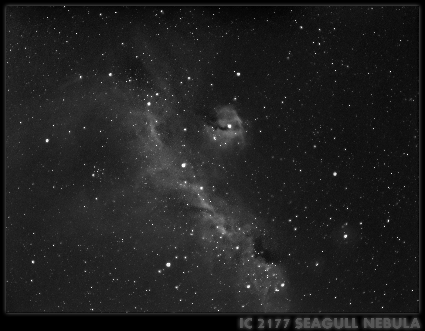 THE SEAGULL NEBULA IN HA