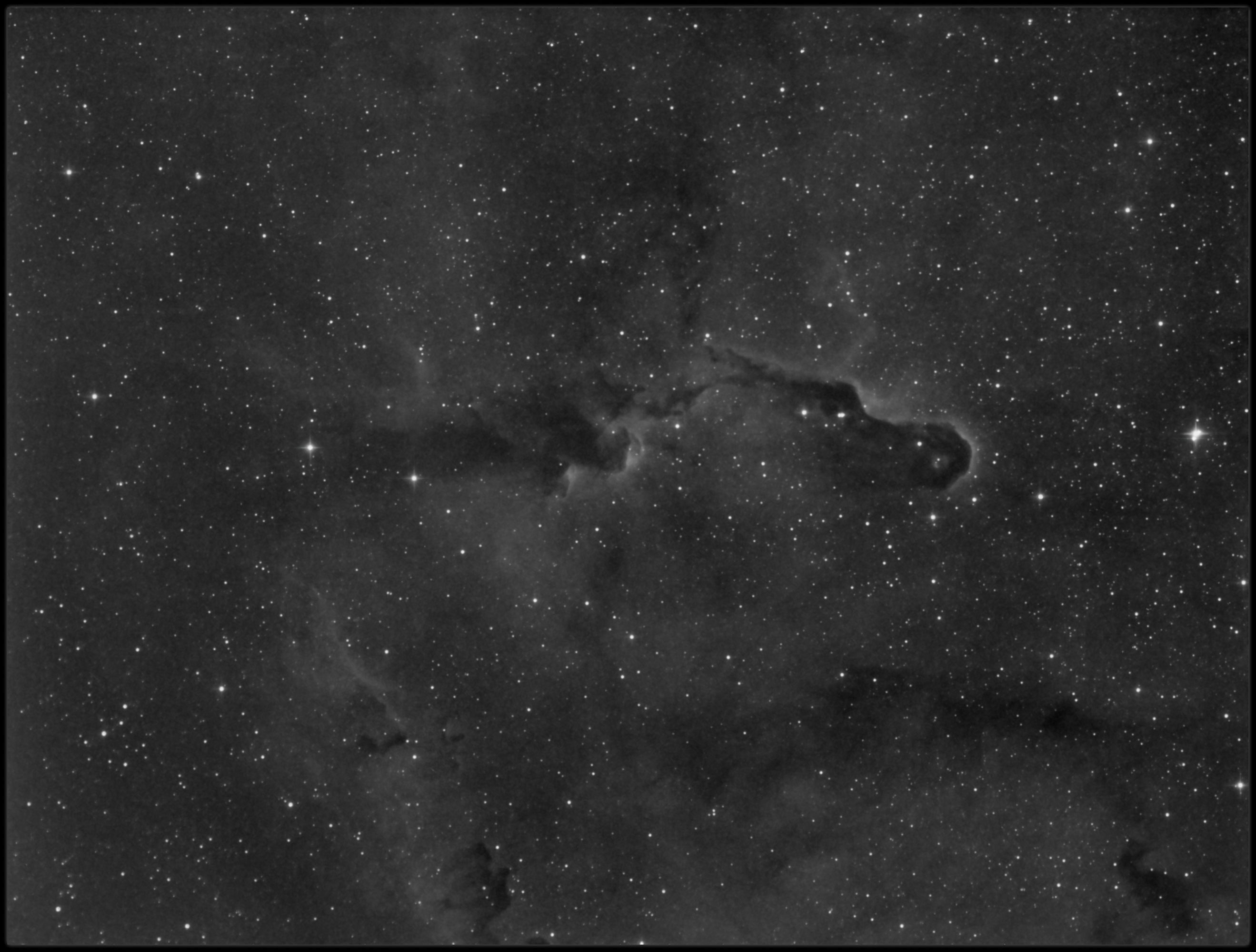 The Elephants trunk  - HA image