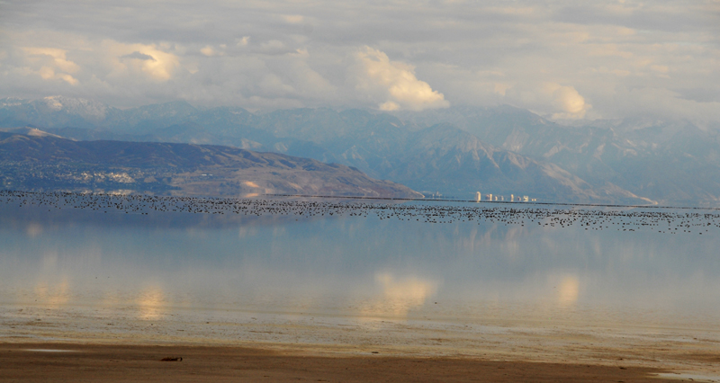 From Causeway towards SLC