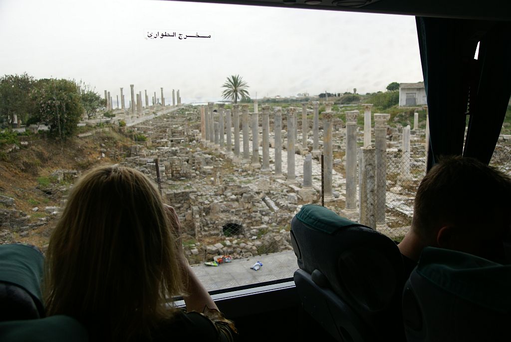 t46.jpg
