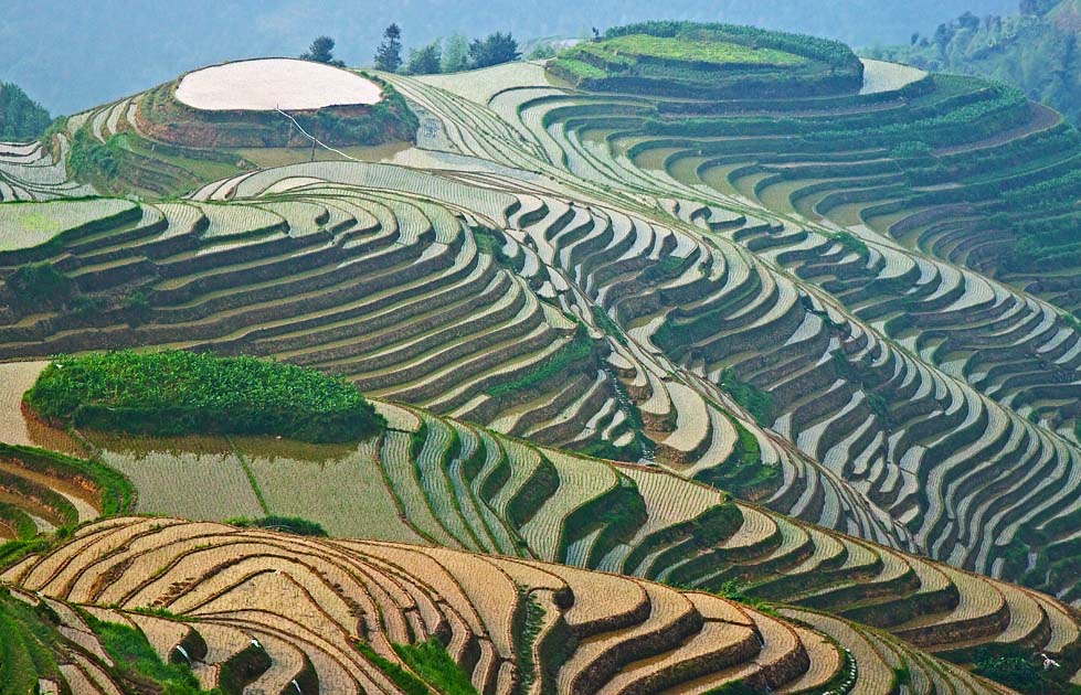 Rice Terraces, Longsheng
