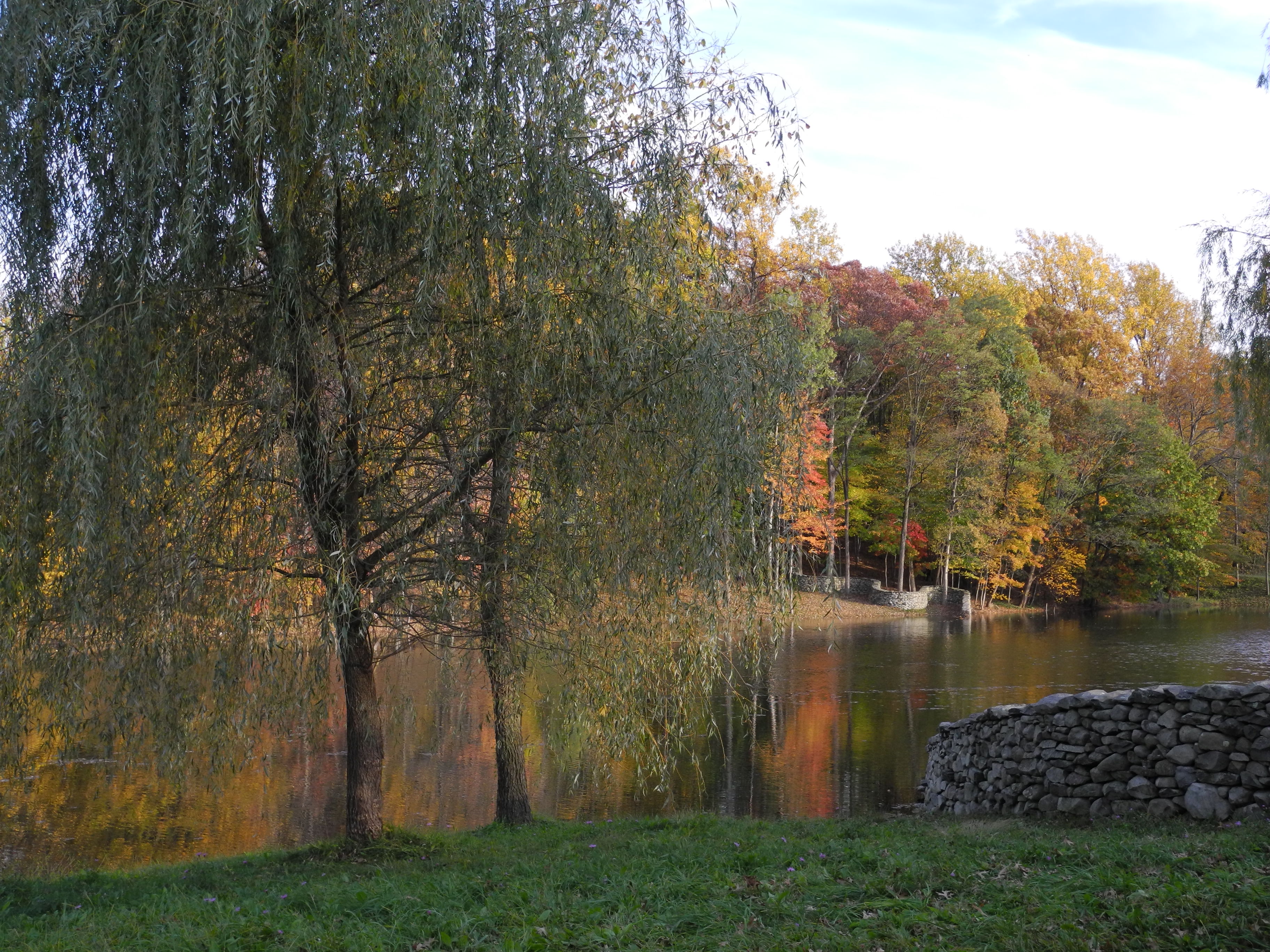 DSCN6871.JPG