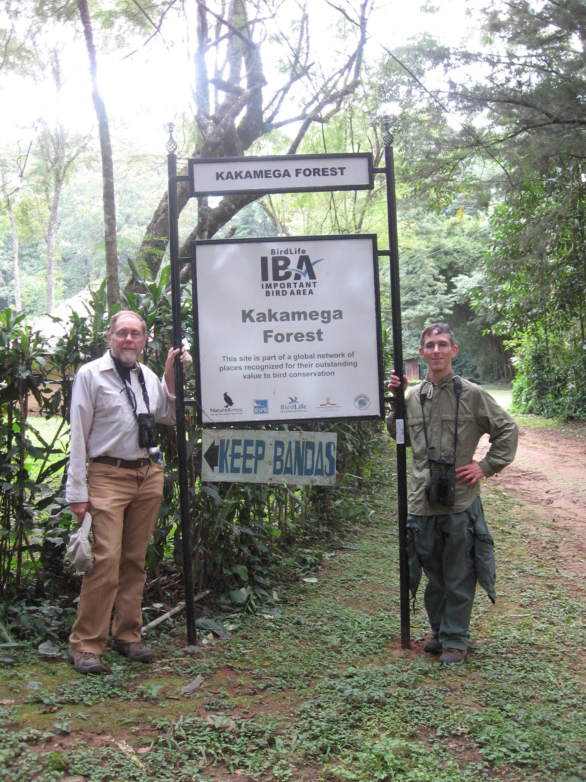 IBA sign