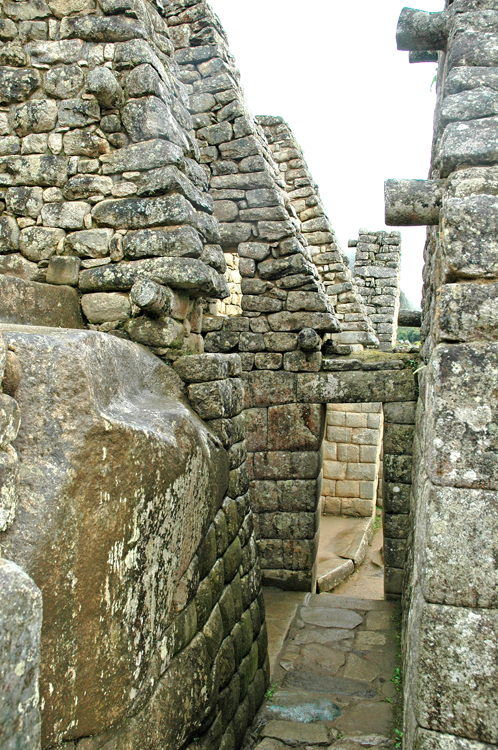 DSC_0237.jpg