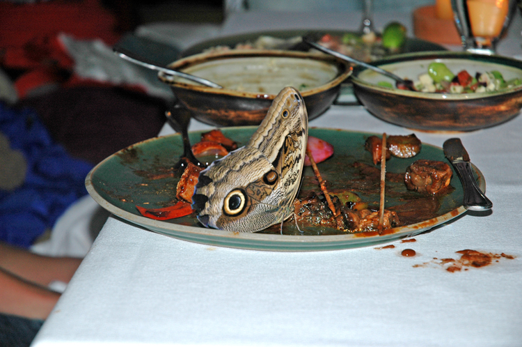 DSC_0317.jpg