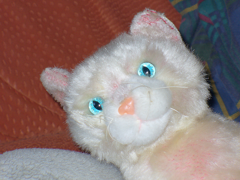Bloody Cat