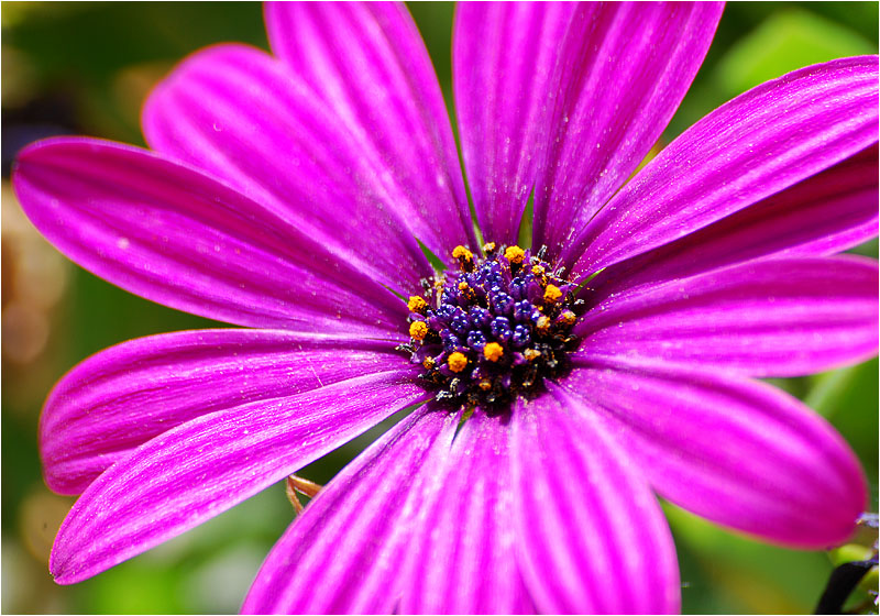 DSC_0027.jpg