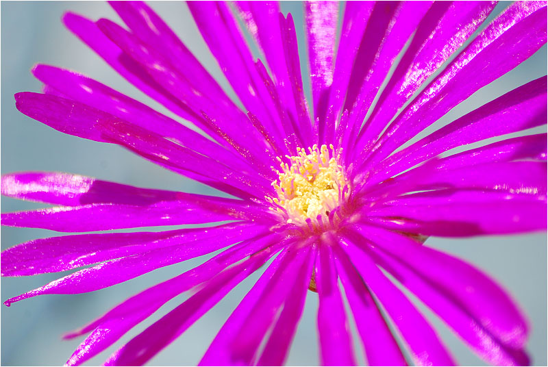 DSC_0045.jpg