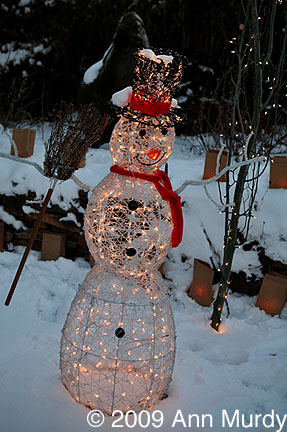 Twinkly snowman