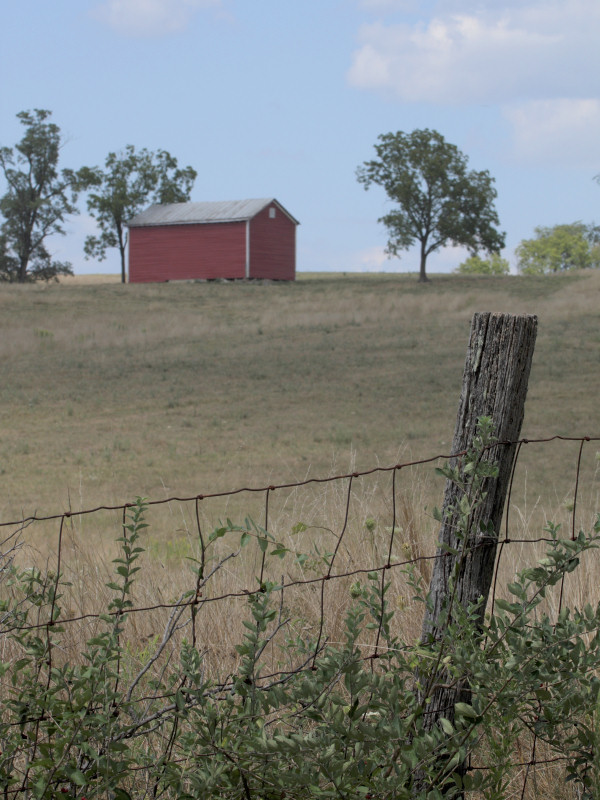 Fence Post