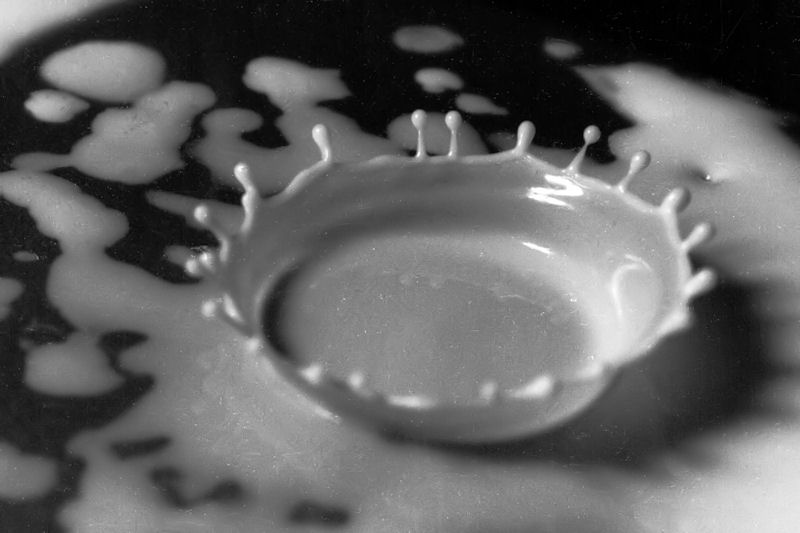 Milk Drop
