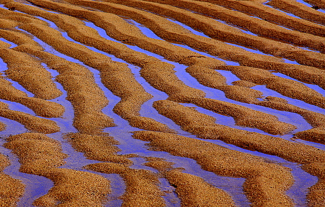 Sand Shapes