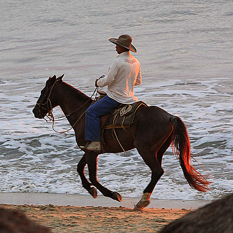 Sunset Gallop