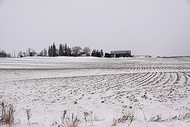 Dusted Fields