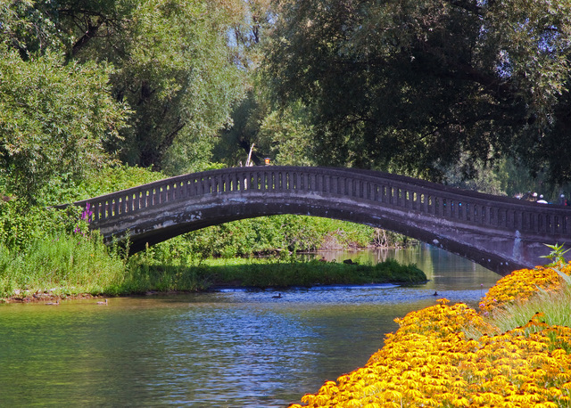 Foot Bridge