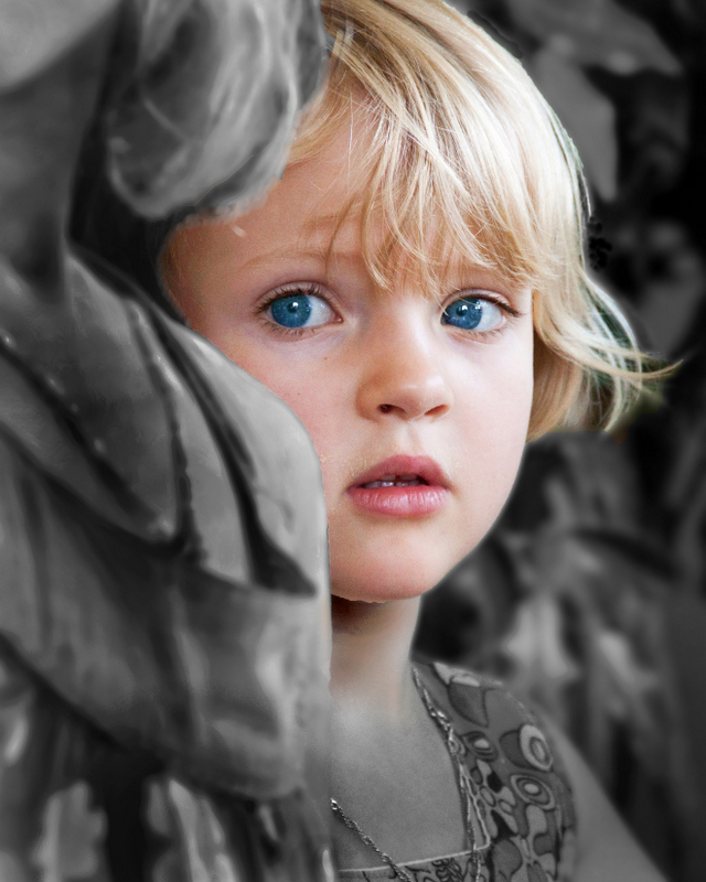 Seeing Eyes