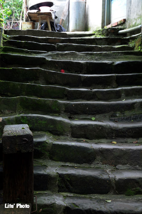 DSC_4220.jpg