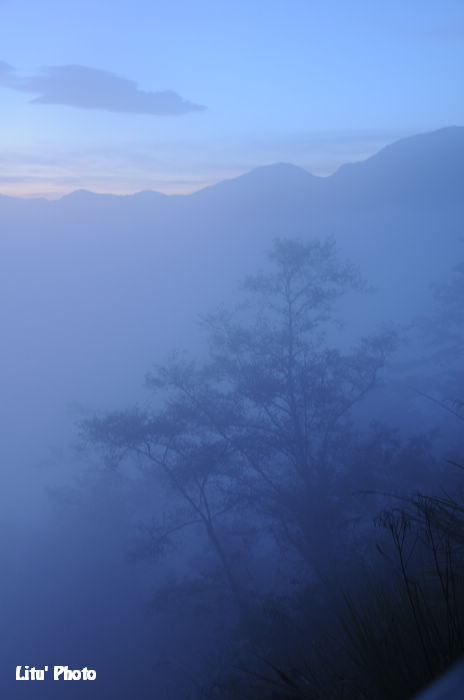 DSC_4326.jpg
