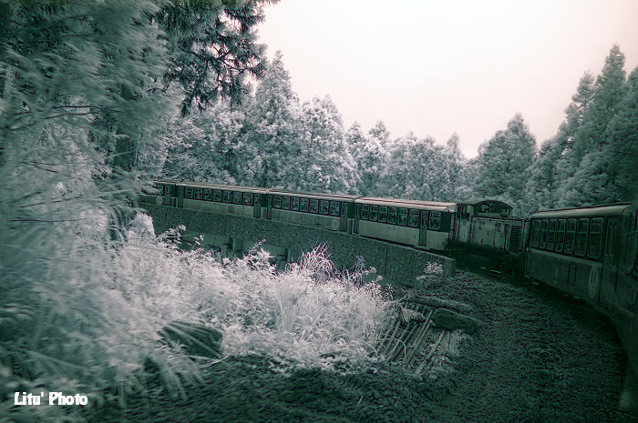 DSC_2579.jpg