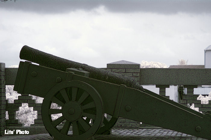 DSC_2747.jpg