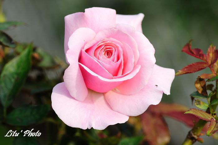 DSC_8763.jpg