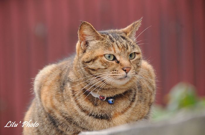 DSC_0494.jpg