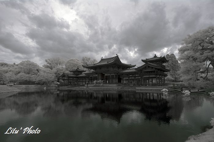 DSC_4873.jpg
