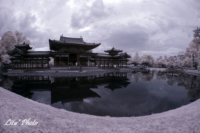 DSC_4877.jpg