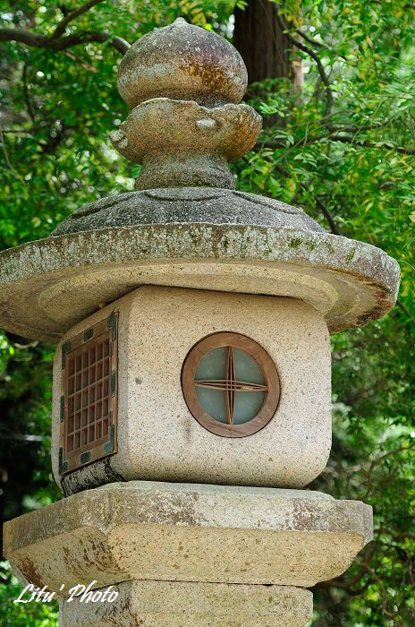 DSC_2979.jpg