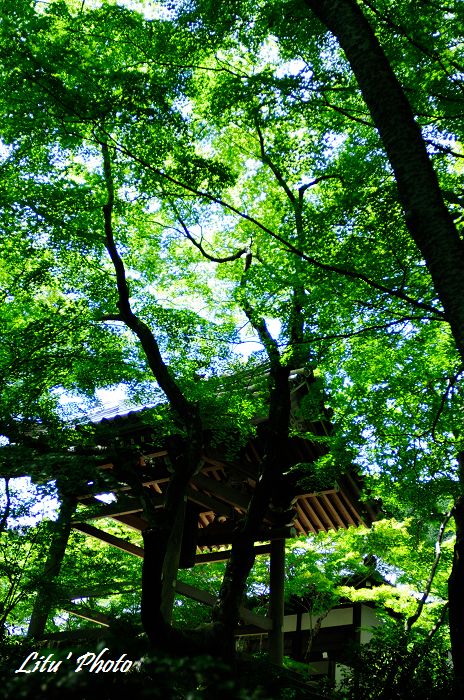 DSC_3126.jpg