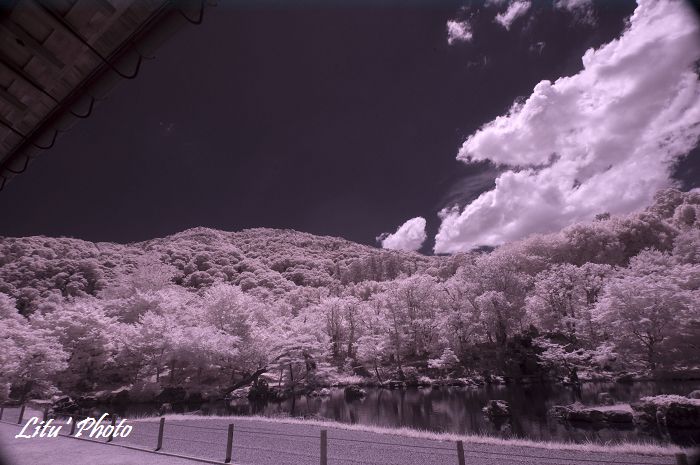 DSC_4930.jpg
