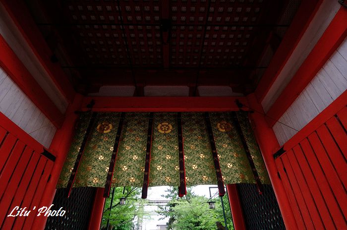 DSC_4680.jpg